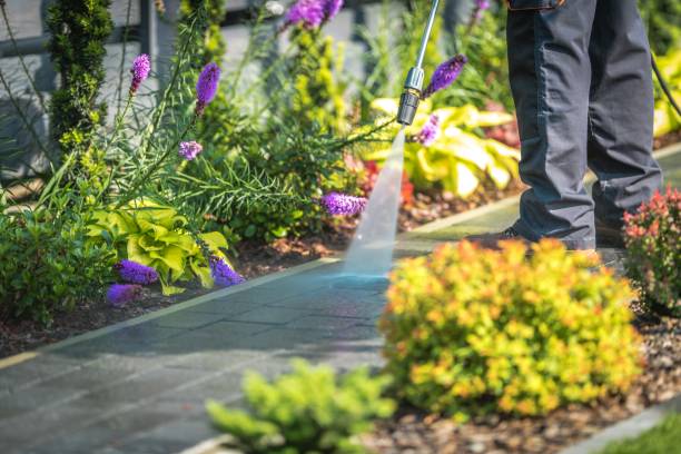 Best Restaurant Pressure Washing  in Westmoreland, TN